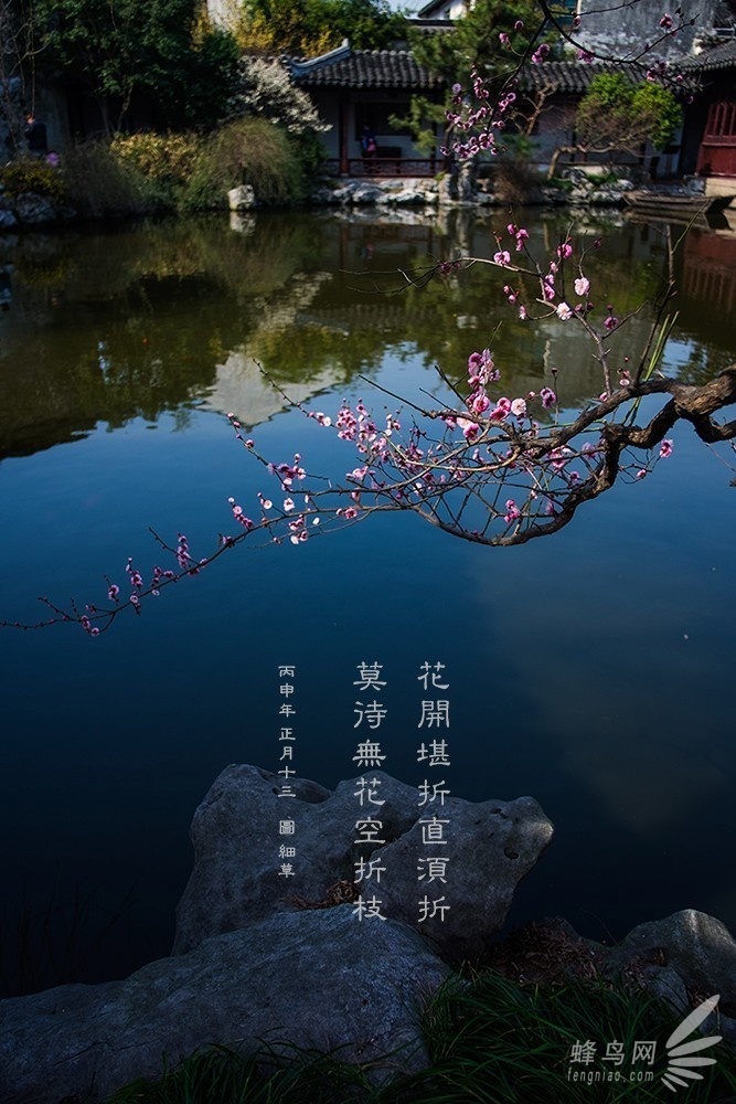 攝影入門：隻盯着最好的 你才會越來越好