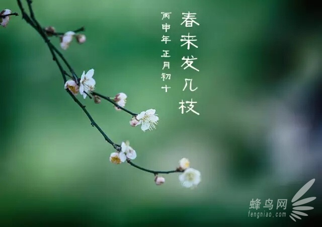 攝影入門：隻盯着最好的 你才會越來越好