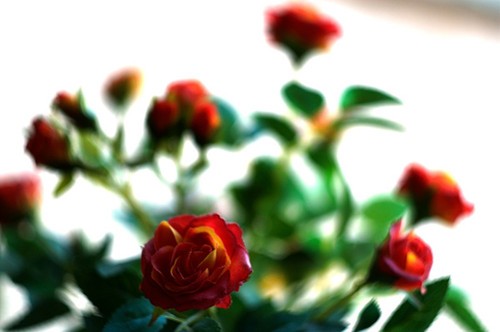 12個提升攝影創意的技(jì )巧