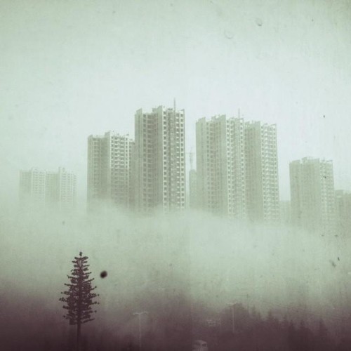 教你給照片起個好标題 讓它更吸引人