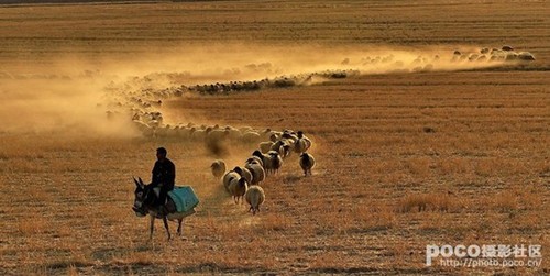 抓準趣味中(zhōng)心 大師六妙招讓照片更靈動